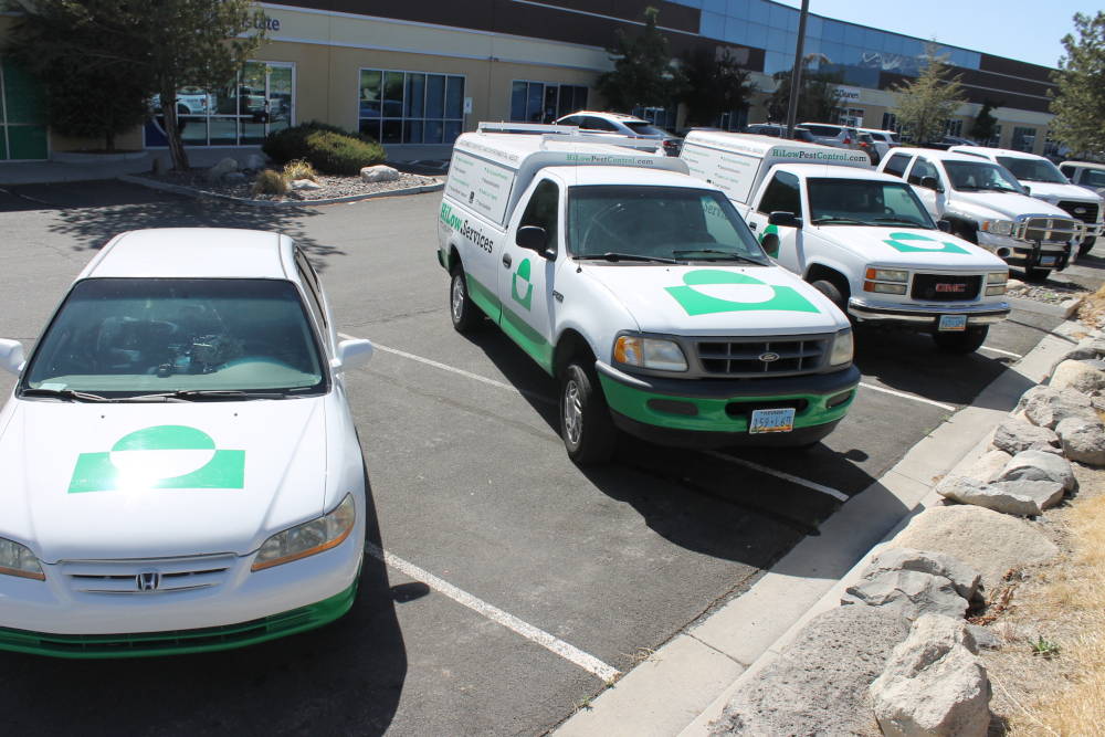 Pest-Control-Cold-Springs-NV