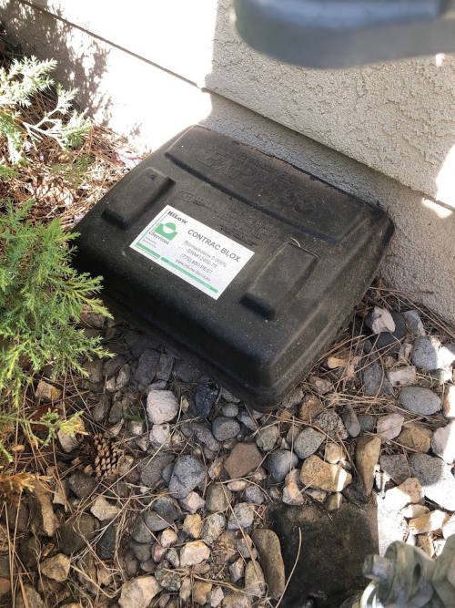 Rodent-Control-3