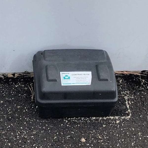 Rodent-Control-Sparks-NV-q3p6okgsdqkorn4pmqa03a6pm11kvb3xeppeaee35c