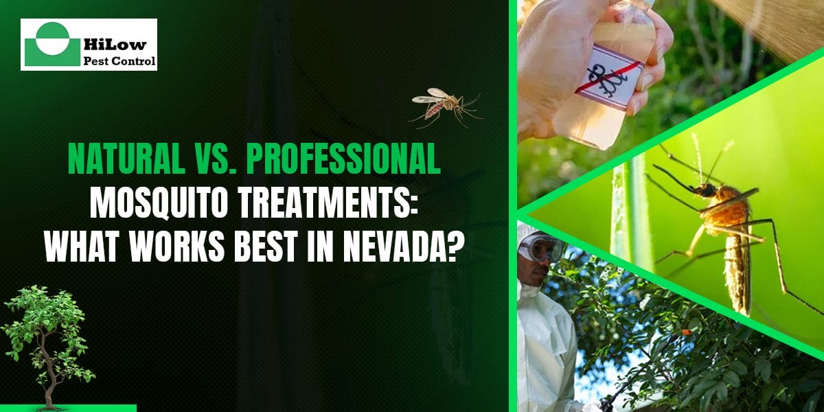 Natural vs Professional Mosquito Treatments What Works Best in Nevada natural vs. professional mosquito treatments